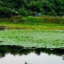 상지말저수지 이미지