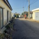 대정1리 이미지