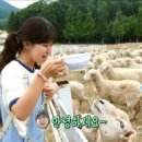 평창송어회 이미지