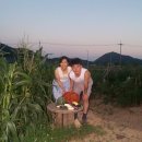 김성기농장 이미지