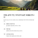 수성대민박 이미지