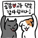 선산반점 네이버블로그