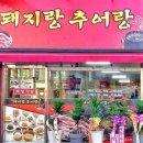 돼지랑추어랑 이미지