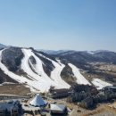 알펜시아리조트 노동조합 이미지