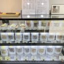 디어 마이 망고 이미지