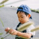오감스튜디오 - 17464 | 오감스튜디오
