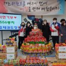 충효태권도 이미지