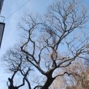 동선샛바람길 이미지