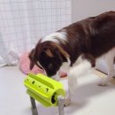 바른멍쿡 이미지