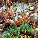 부영농원 이미지