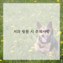 공감 이미지