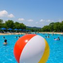 주식회사 아울 네이버블로그