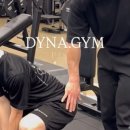 다이나짐 이미지