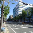 중앙동116 이미지