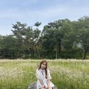 (주)에버클린 | [6월 여덟번째 기록]_서울대공원 테마가든 작약원 보고 장미원 장미 축제
