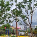 동성리젠시 이미지