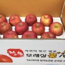 월곡농장 네이버블로그