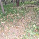 선운산호텔 이미지