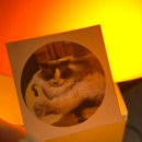 신기루 | [홍대 방탈출] 도어이스케이프 홍대점 - 신기루: 2인 이지모드 후기