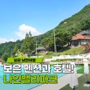 호텔나인스톤 이미지