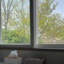 감나무집할배네 이미지