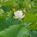 이병기 농장 이미지