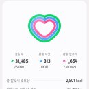 수한면행정복지센터 공중화장실 | 이순신 승전길 원정대 2기 노량해전 남해