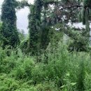 상예2마을회관 이미지