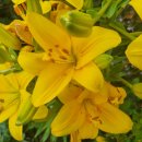 3.1운동길B 이미지