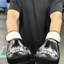 🥊멕시칸스탠다드(MXSD)🥊