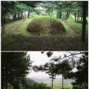낙선군 묘 이미지