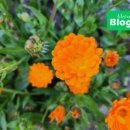 광성여관 이미지