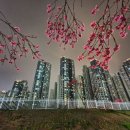 SK스카이뷰단지내 공인중개사사무소 | 용현동 인천 SK 스카이뷰아파트 대형평수 급급매