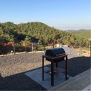 트리캠핑장 이미지