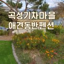 곡성 기차마을 애견동반펜션 | 노을 머무는 황토집, &#34;곡성기차마을 애견펜션&#34;
