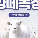 목장주유소 이미지