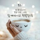 다모아결혼정보 이미지