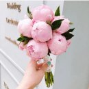 김가현메이크업 이미지