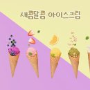 2025.07.14(M) : 이미지 선택하기 - 개체선택도구와선택및마스크 이미지