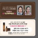 공주인셀덤 - 노원구 | 공주인셀덤