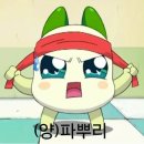[쇼팽 에뛰드 챌린지 #2]op.25-2 한달 연습 후기