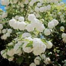 사계절농장 이미지