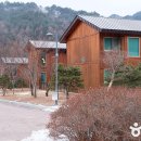 자연발효효소찜질