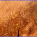 황한의원 이미지