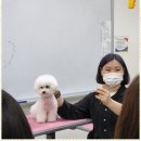 행복한미용실 - 단구동 | 행복한미용실