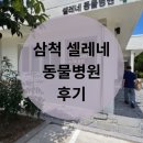 셀레네동물병원 이미지