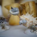 계룡산자연사박물관 이미지