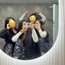 다포아라 이미지