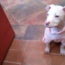 오공이 농장 이미지