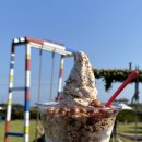 동인스파월드 | 제주도 스쿠버다이빙 여행 우도다이브